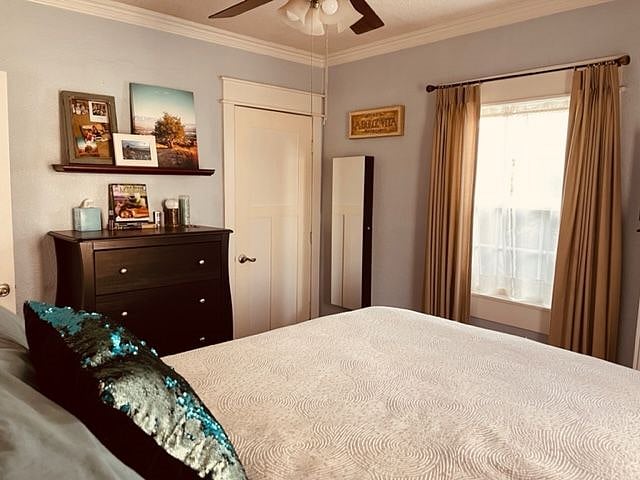 Furnished Finder property 369016_1 photo 14