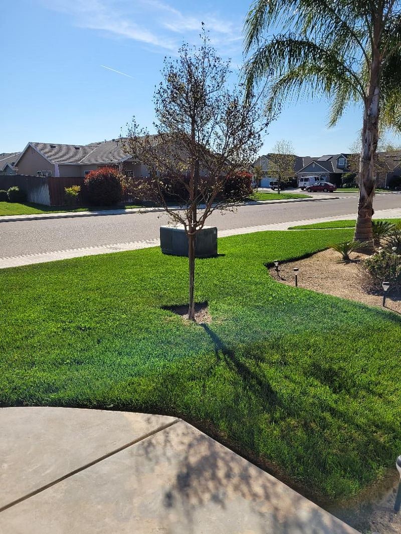 Furnished Finder property 369049_1 photo 20
