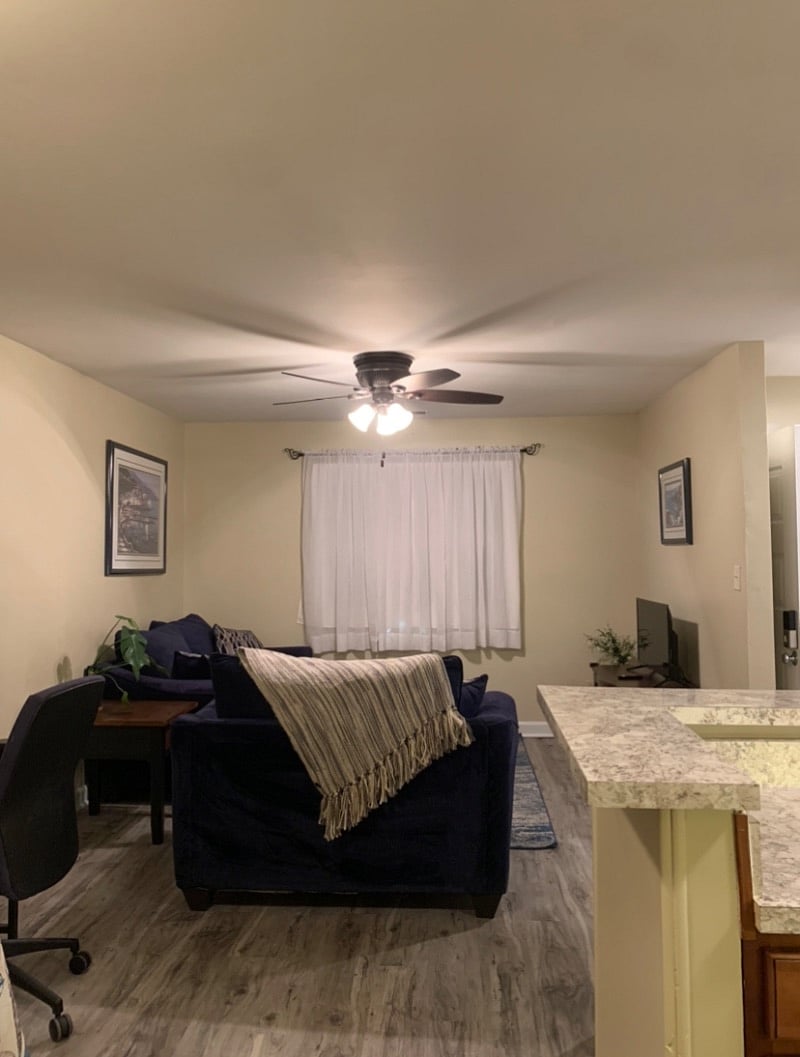 Furnished Finder property 369182_1 photo 5