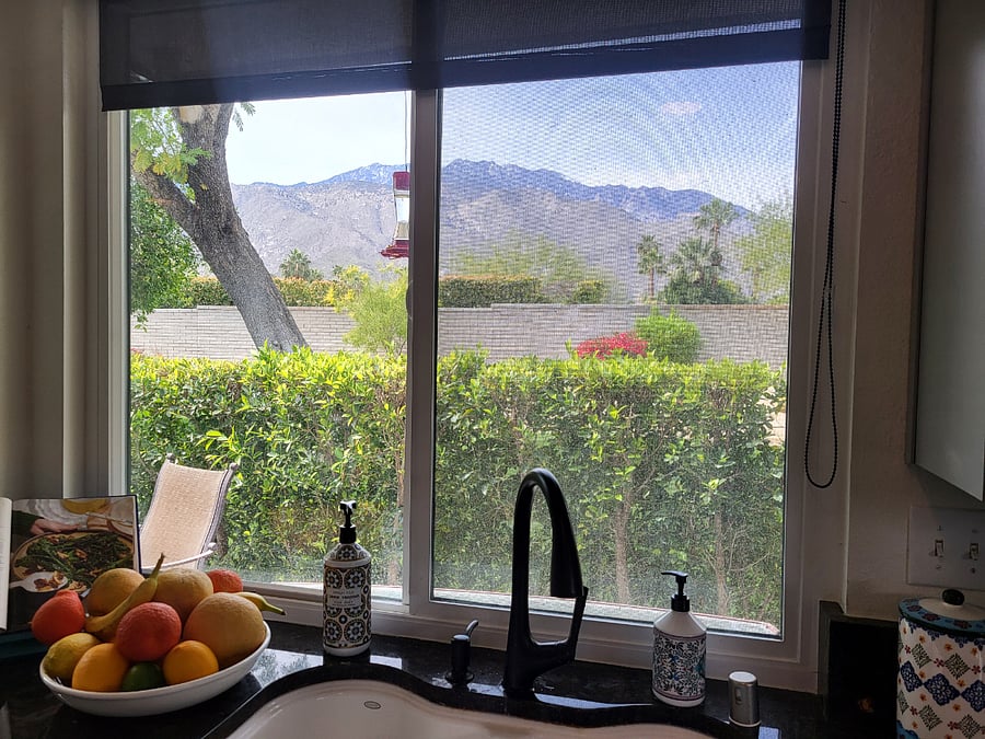 View from kitchen