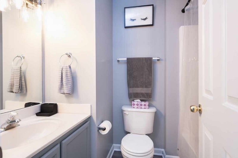 Furnished Finder property 369279_1 photo 15