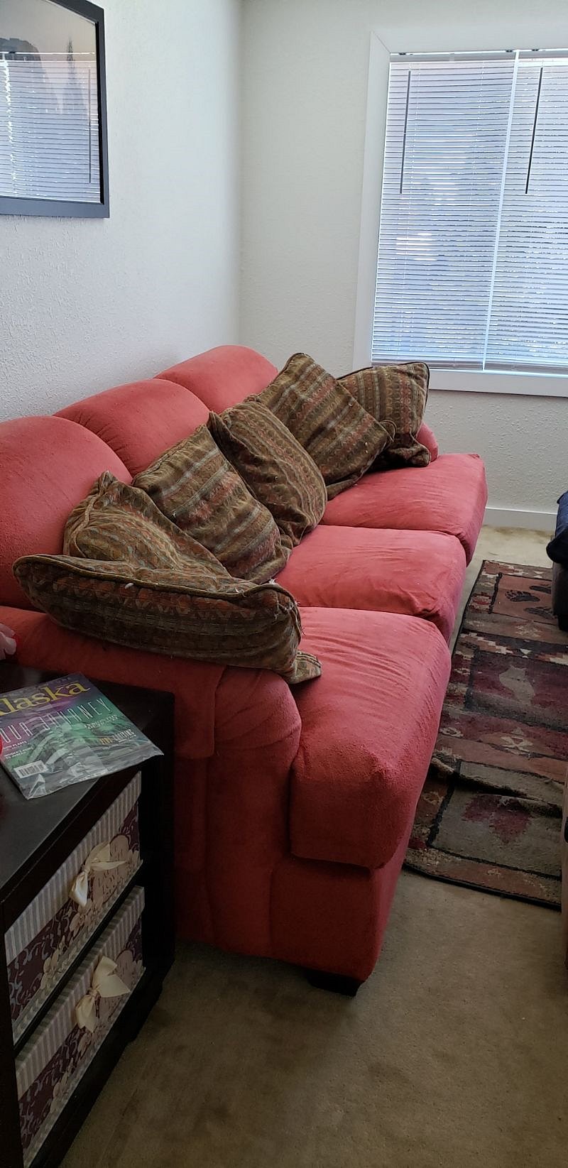 Furnished Finder property 369506_2 photo 12