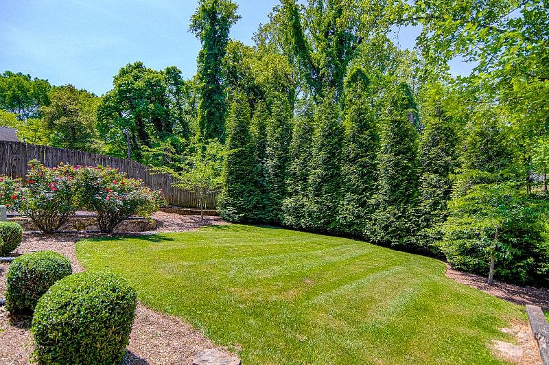 Backyard | The Evergreens.