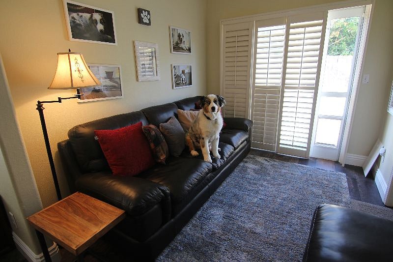 Den w/my dog Sam