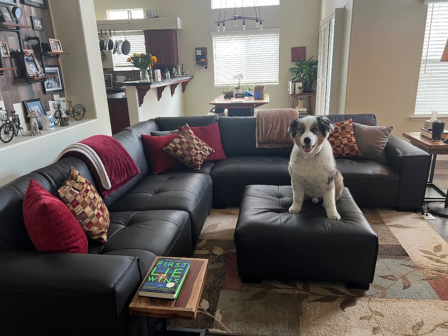 Furnished Finder property 369522_1 photo 14