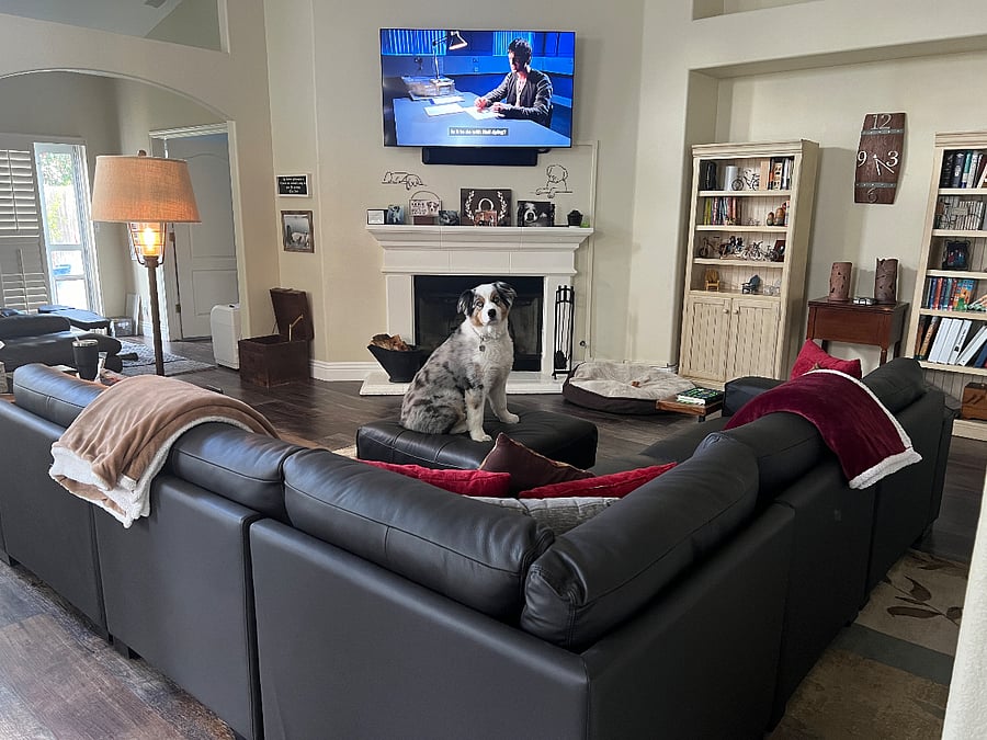 Furnished Finder property 369522_1 photo 15