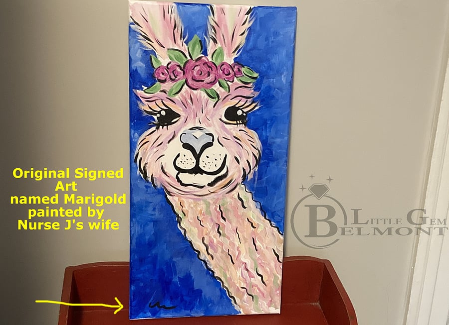 Thank you nurse Jake from Texas, whose wife loved Lil Gem so much she handpainted an original Oil Painting for Lil Gem. She named it Marigold. Marigold will be the star of Lil Gem.