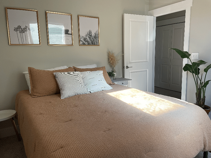 Furnished Finder property 370276_1 photo 12