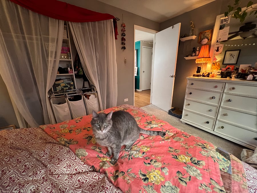 Furnished Finder property 370294_1 photo 10