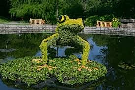 Atlanta Botanical Garden