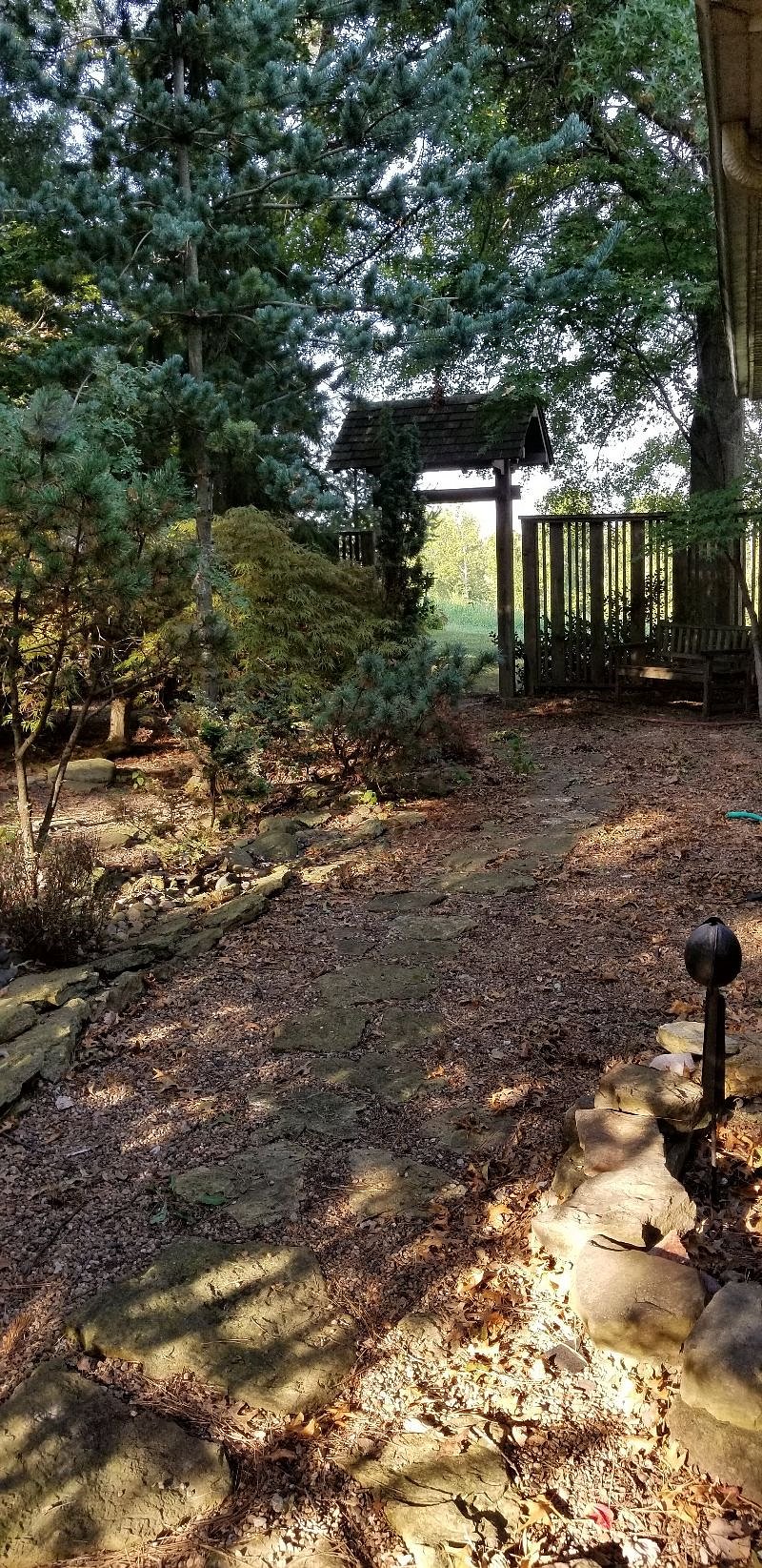 Japanese garden out living room windows