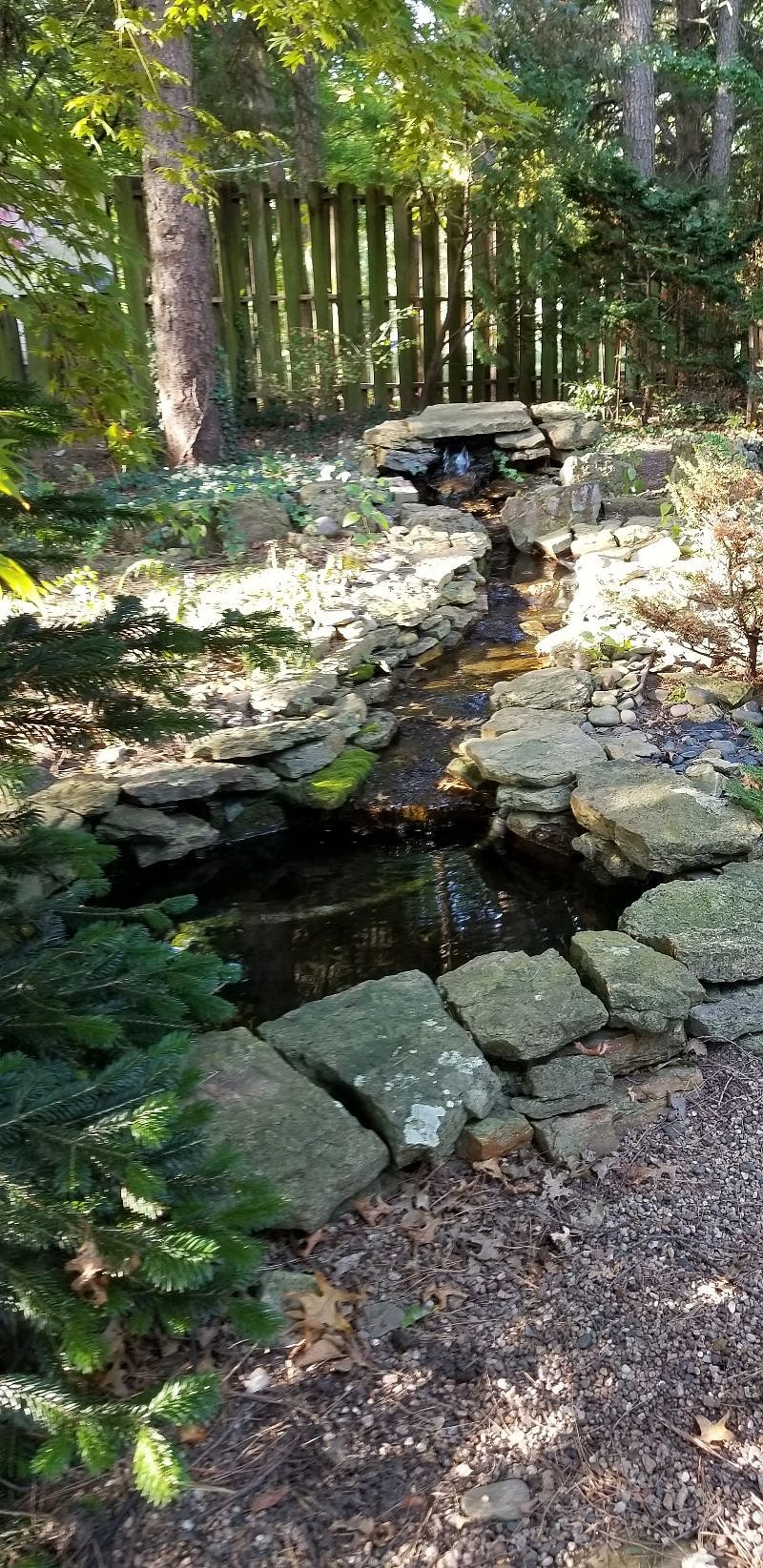 Waterfall in Japanese garden.
Seasonal.