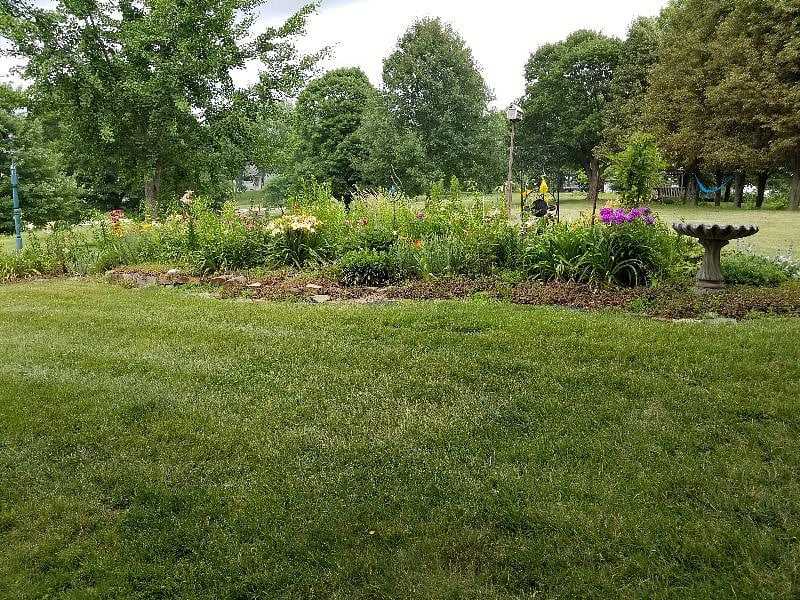 Sun garden, back yard