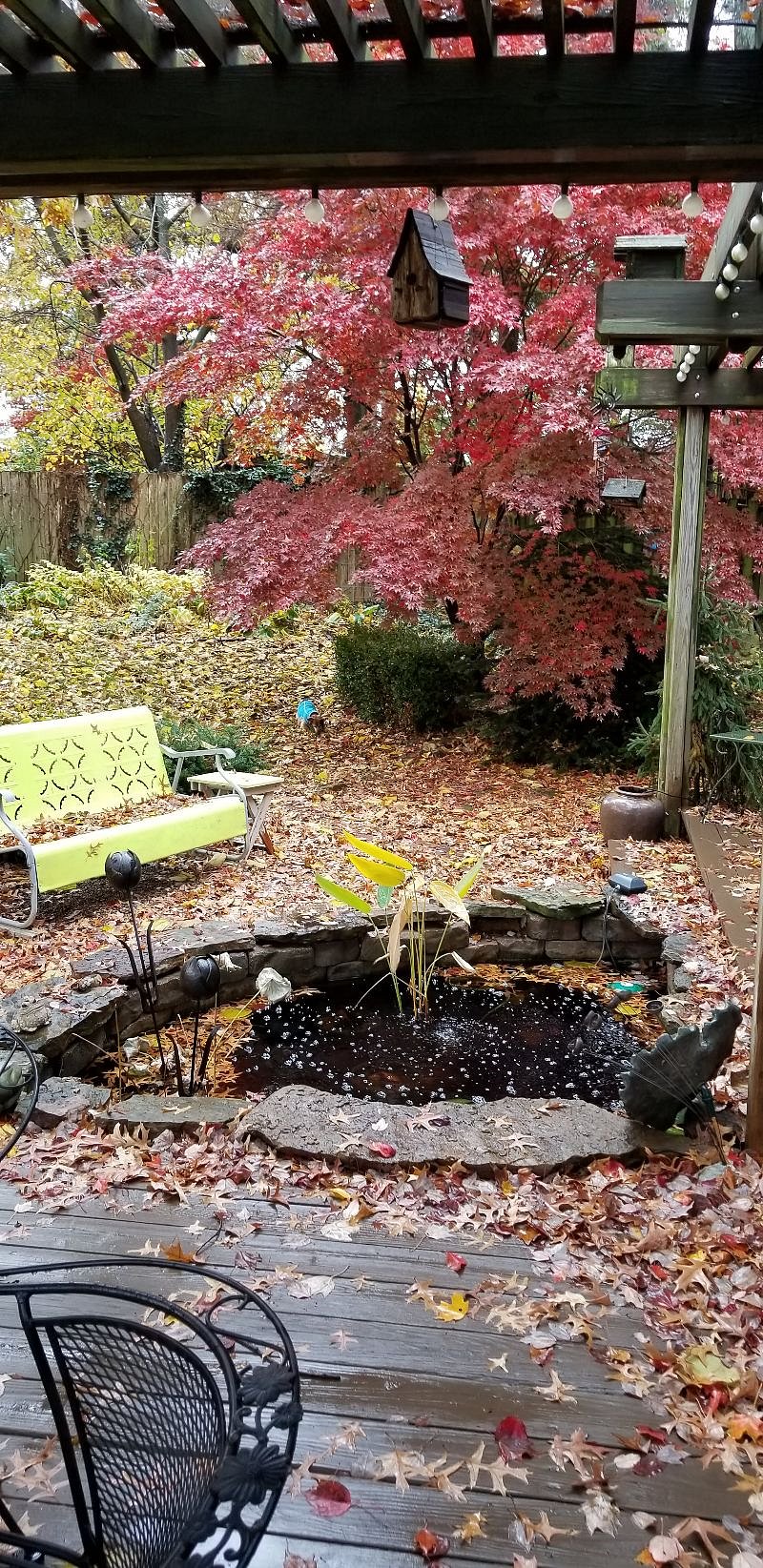 Lots of leaves in the fall. Battery leaf blower is provided
