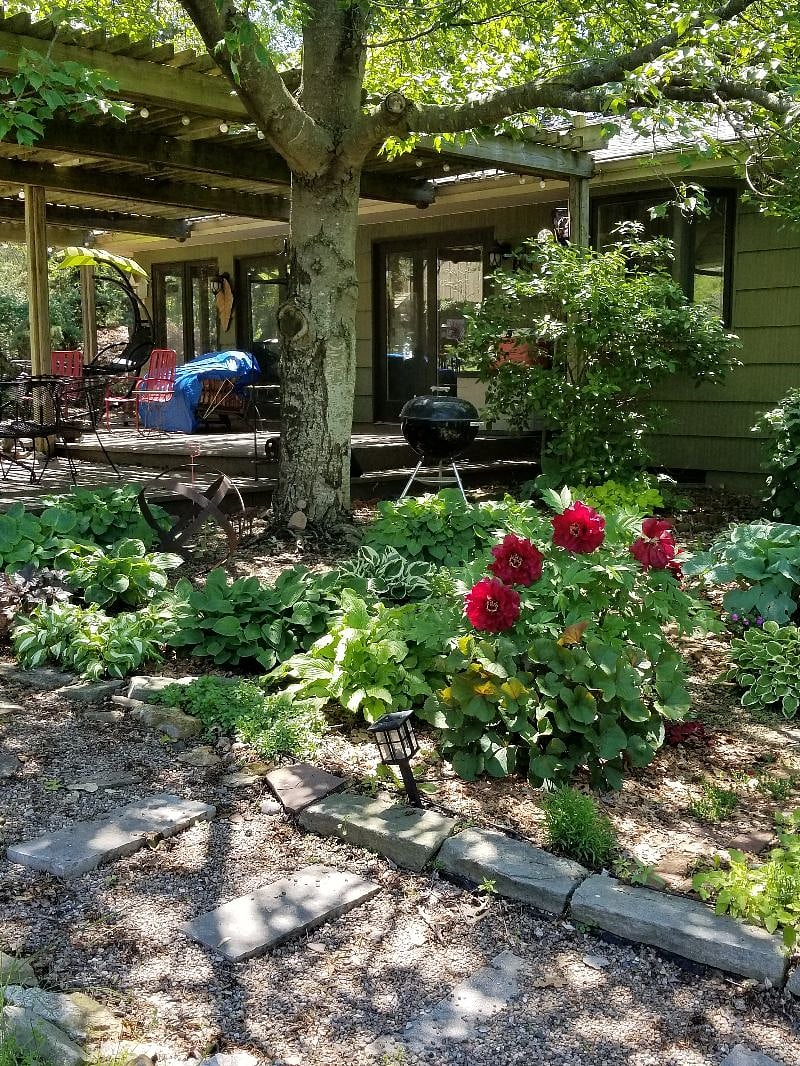 Garden next to deck.