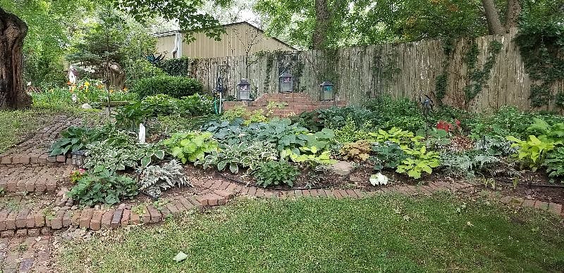 Shade garden in back yard