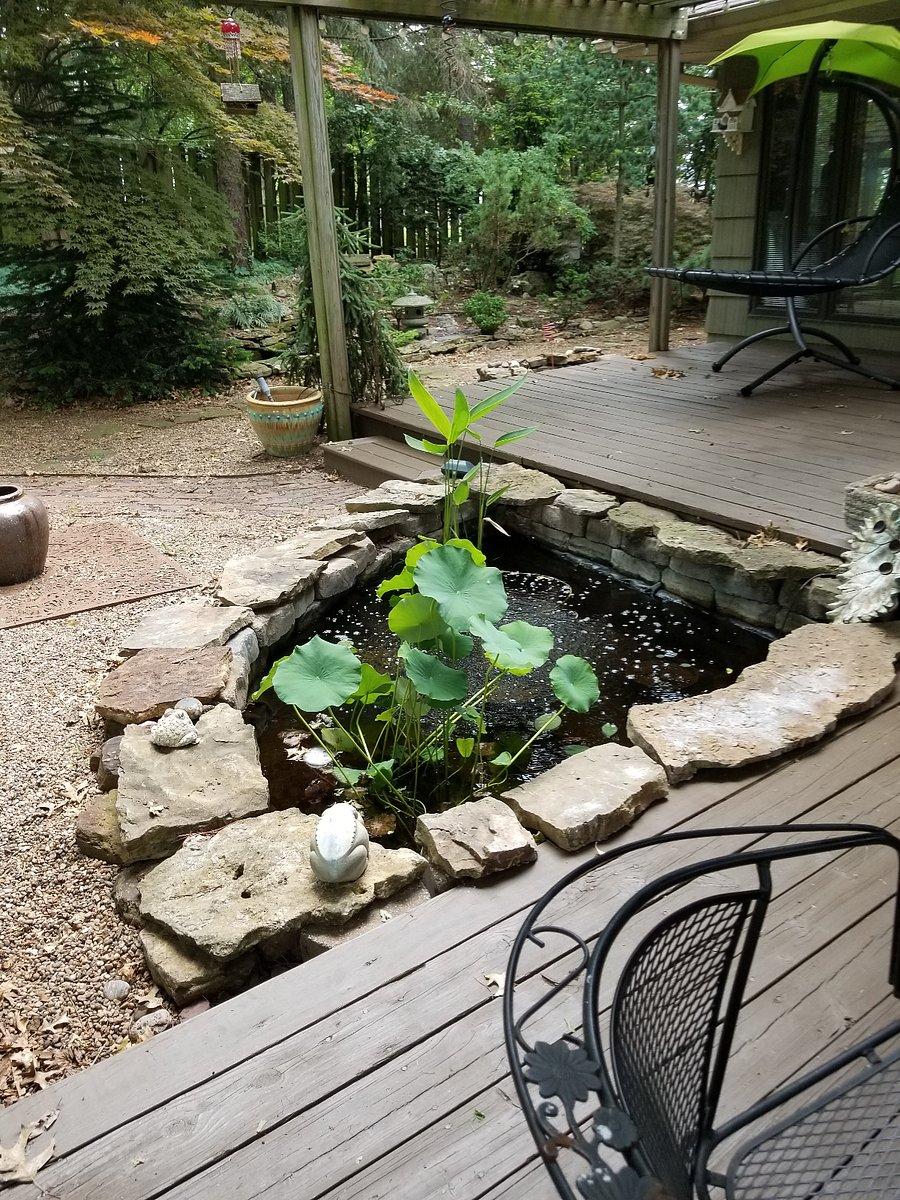 Furnished Finder property 370389_1 photo 100