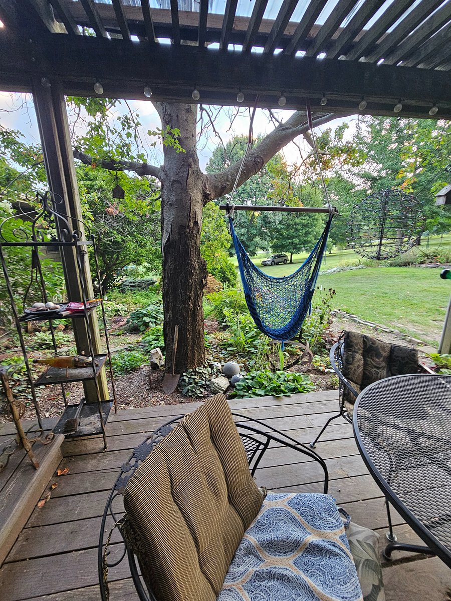 Back deck.