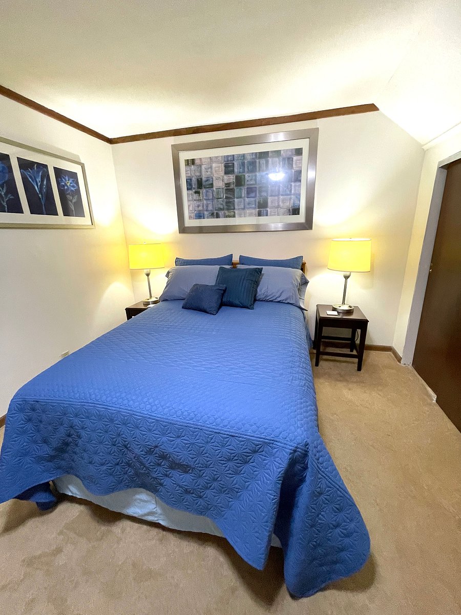 Furnished Finder property 370417_2 photo 23