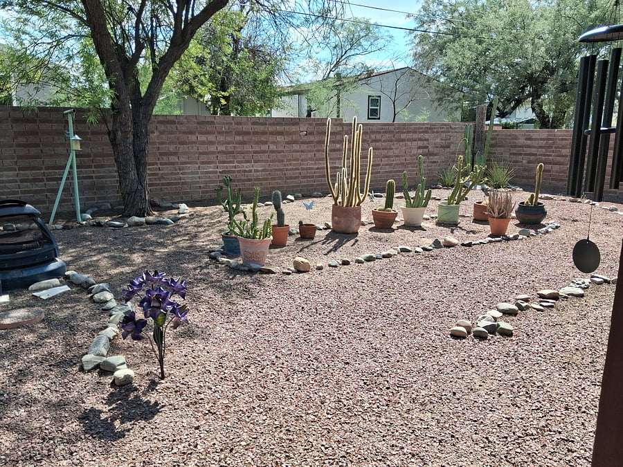 Tranquil backyard