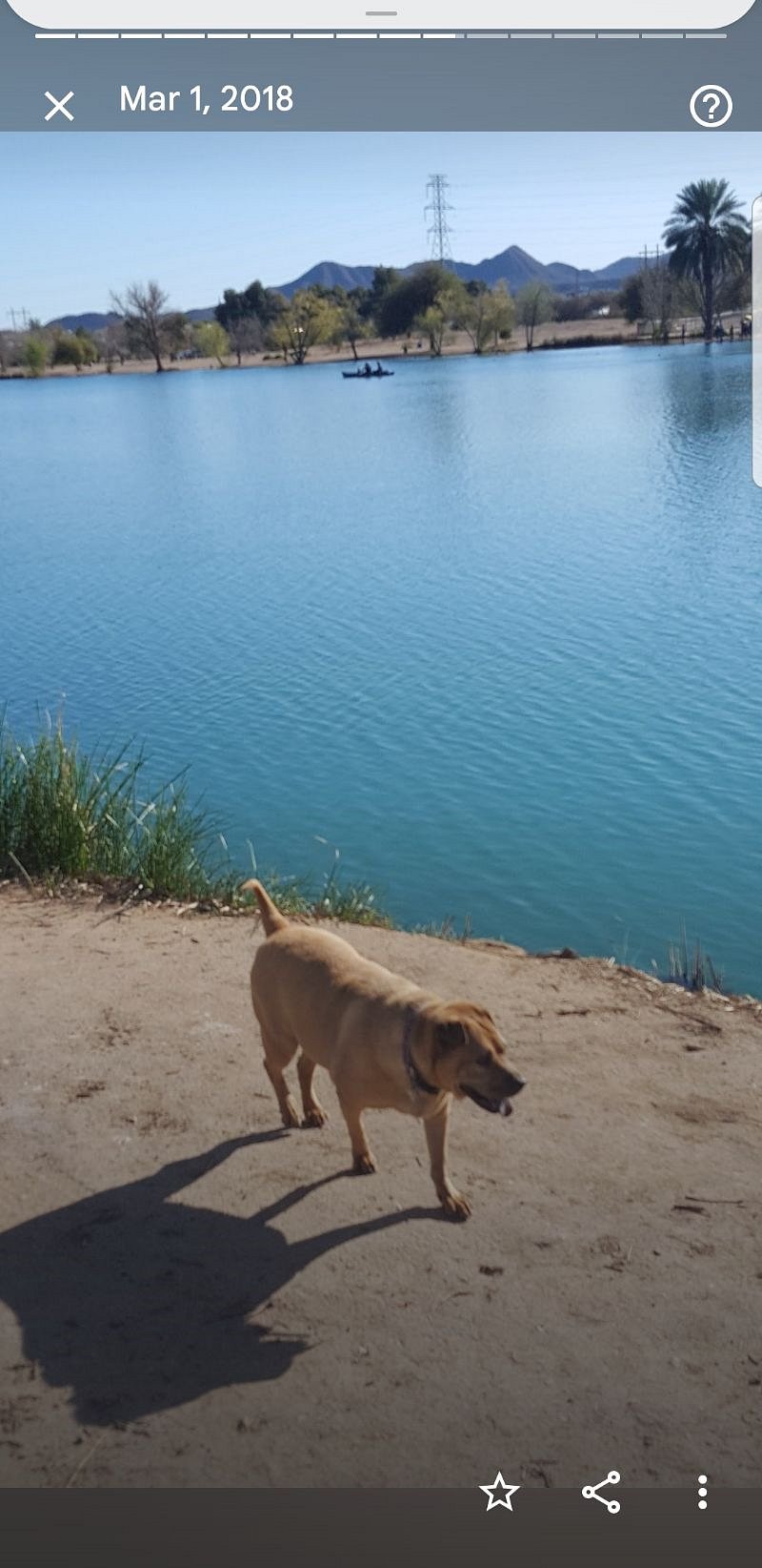 Lake neat by