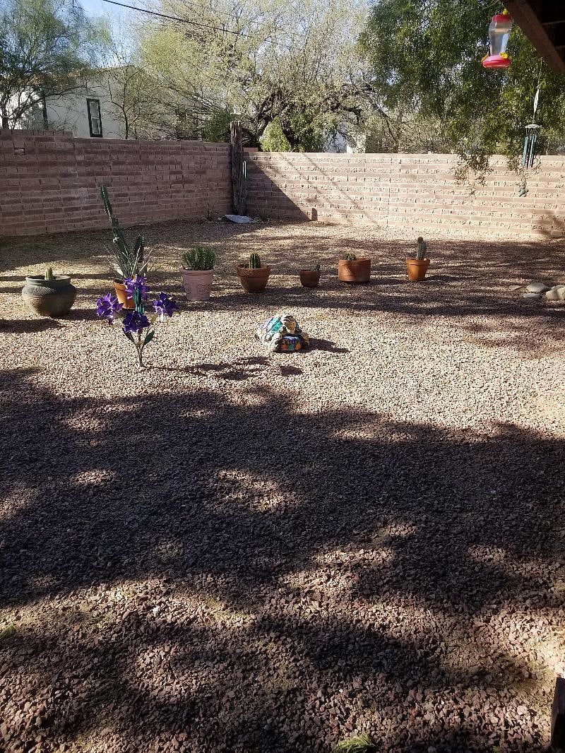 Spacious and tranquil backyard