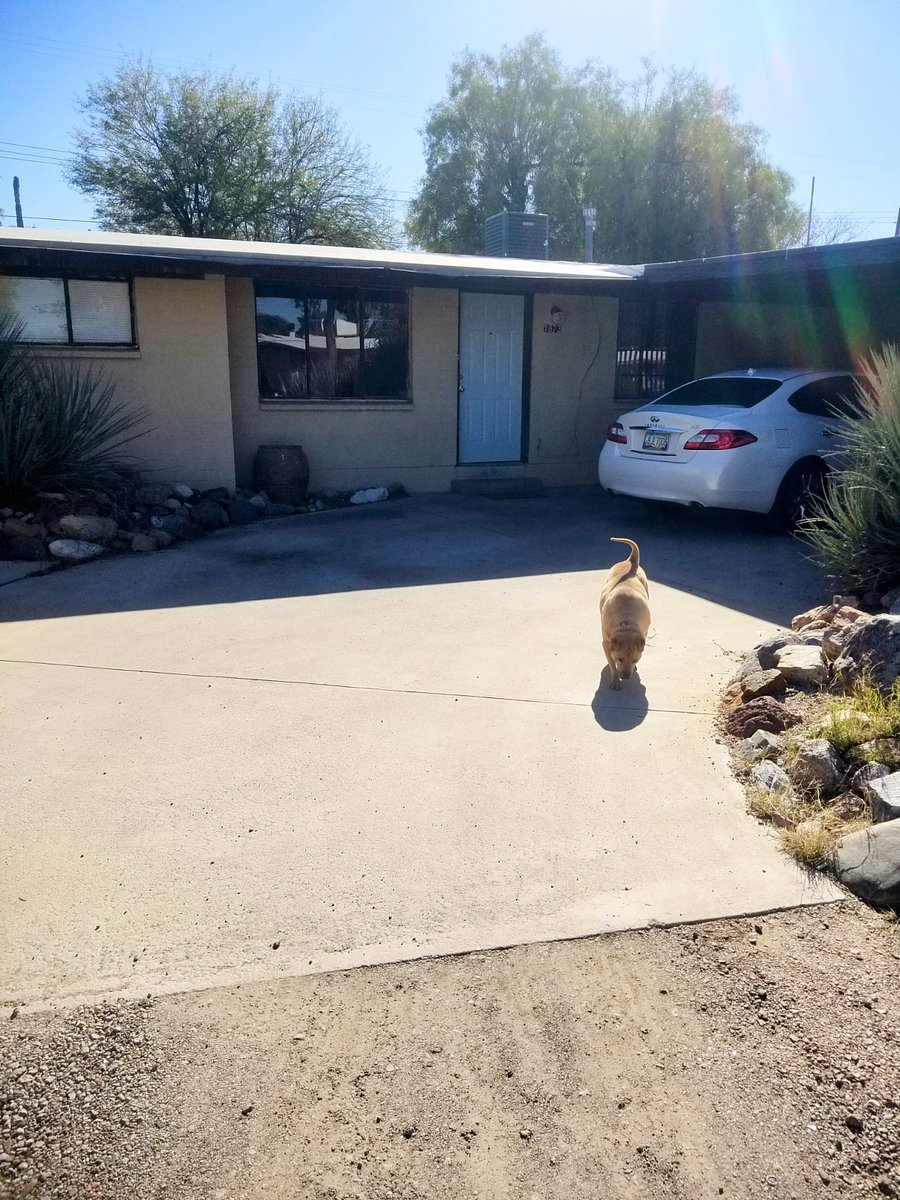 Furnished Finder property 370440_1 photo 18