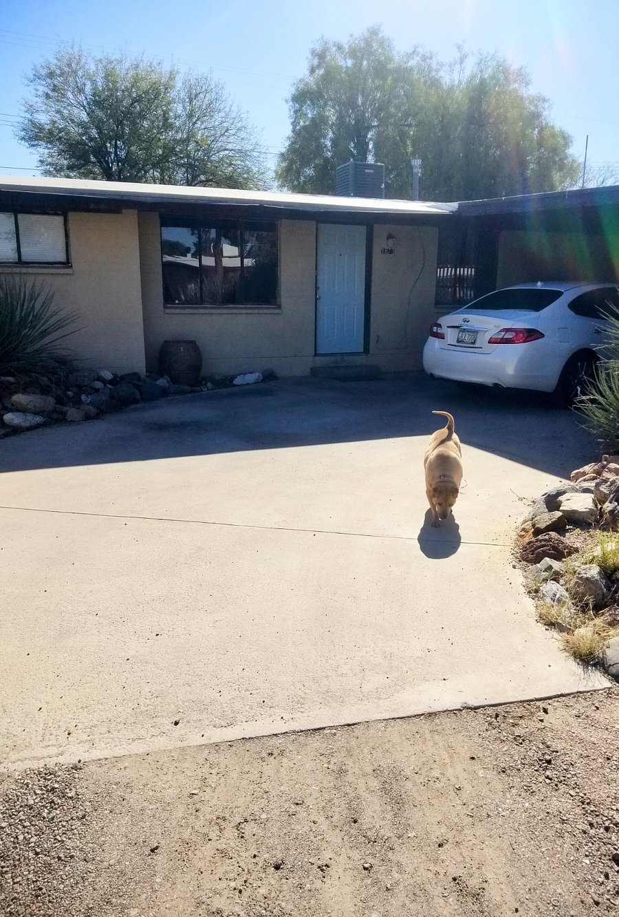 Furnished Finder property 370440_1 photo 13