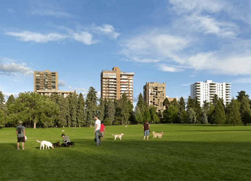 Cheesman Park is an ideal place to take your dog. It is a five minute walk from the condo.