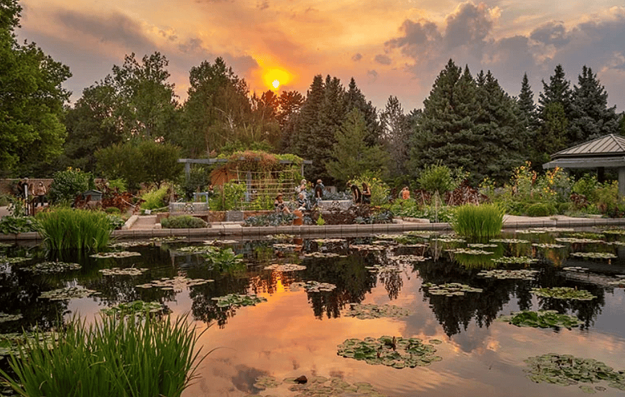 Denver Botanic Gardens is within walking distance and is one of the most beautiful places in Denver.