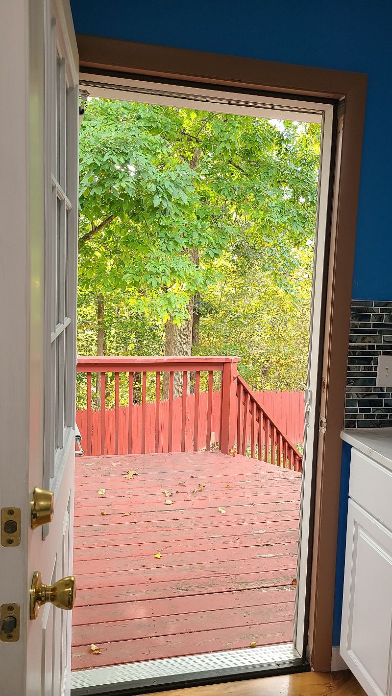 Furnished Finder property 370590_1 photo 13