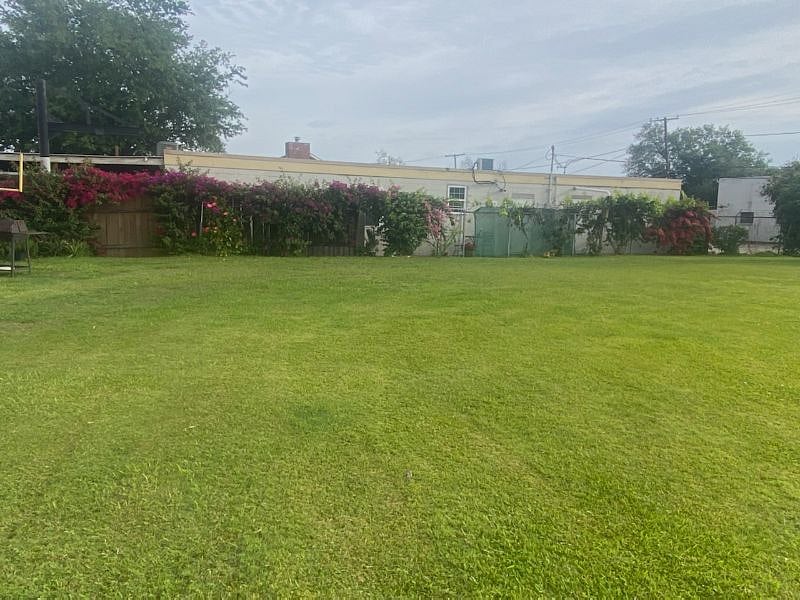Yard with fruit trees and bougainvillea