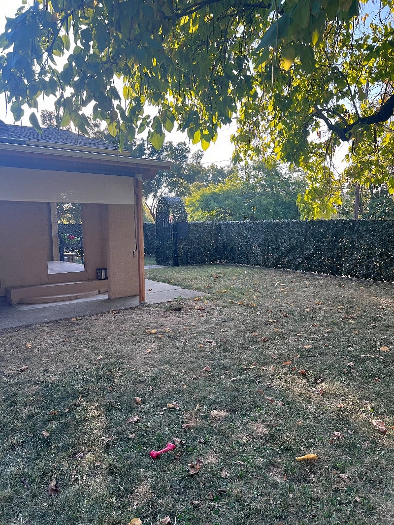 Furnished Finder property 370669_1 photo 34