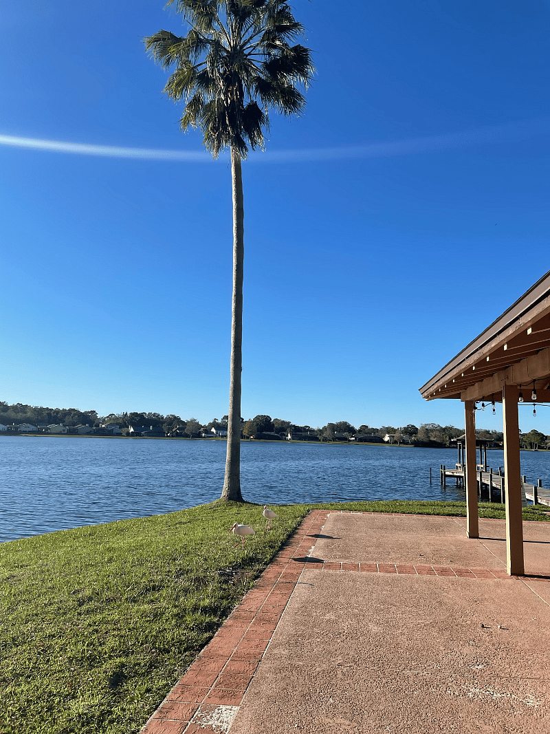 Furnished Finder property 370693_1 photo 19