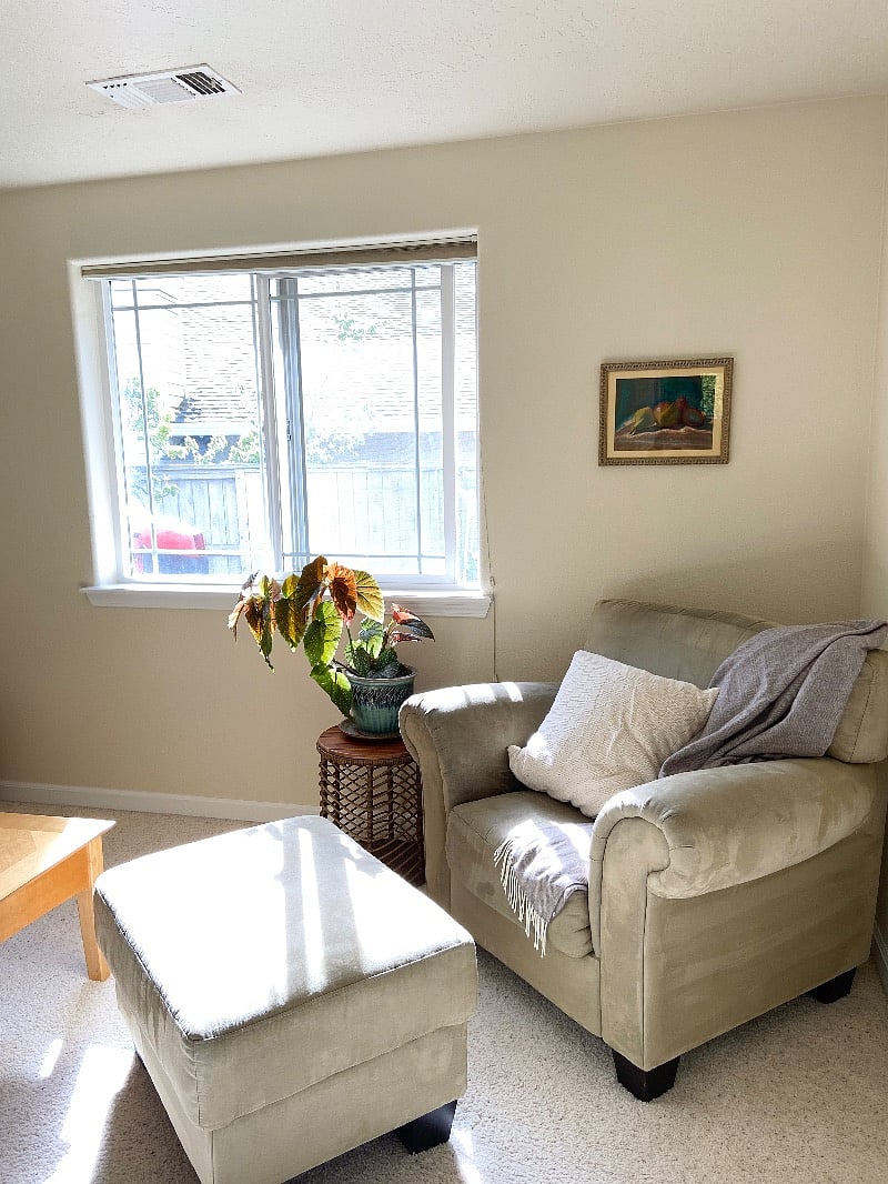 Warm west sun makes this comfy overstuffed chair the BEST reading nook!