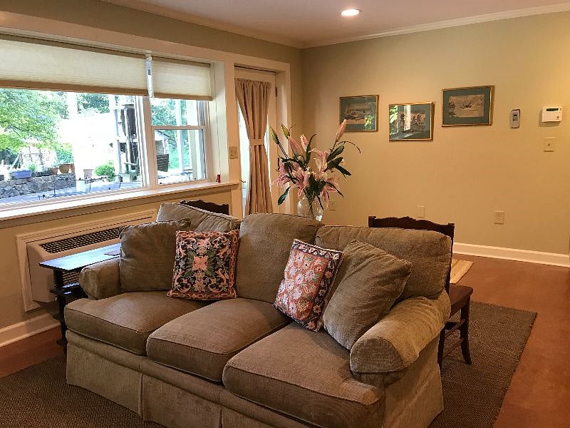 Couch and work area