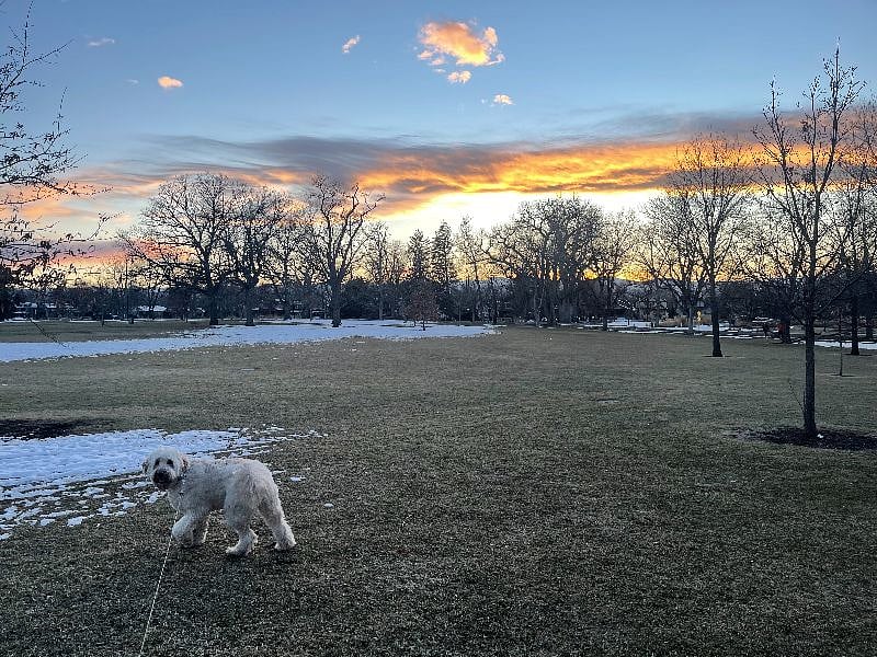 Rosamond park