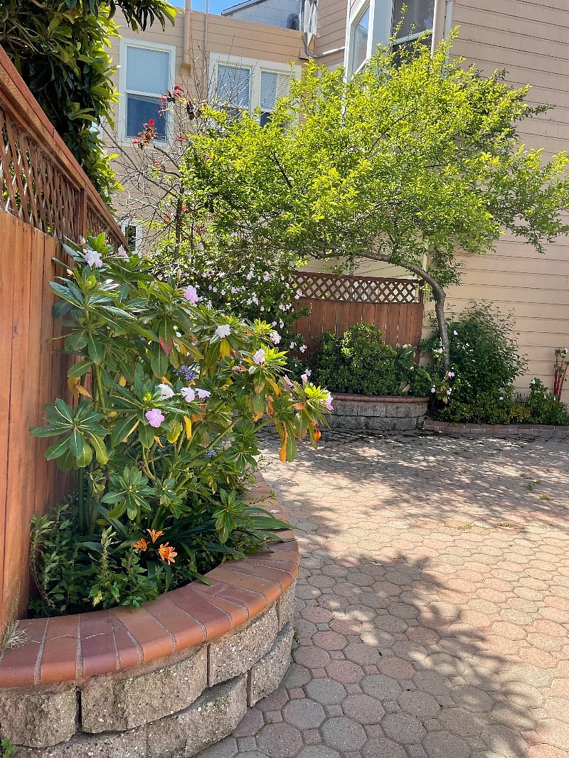 Furnished Finder property 371137_1 photo 15