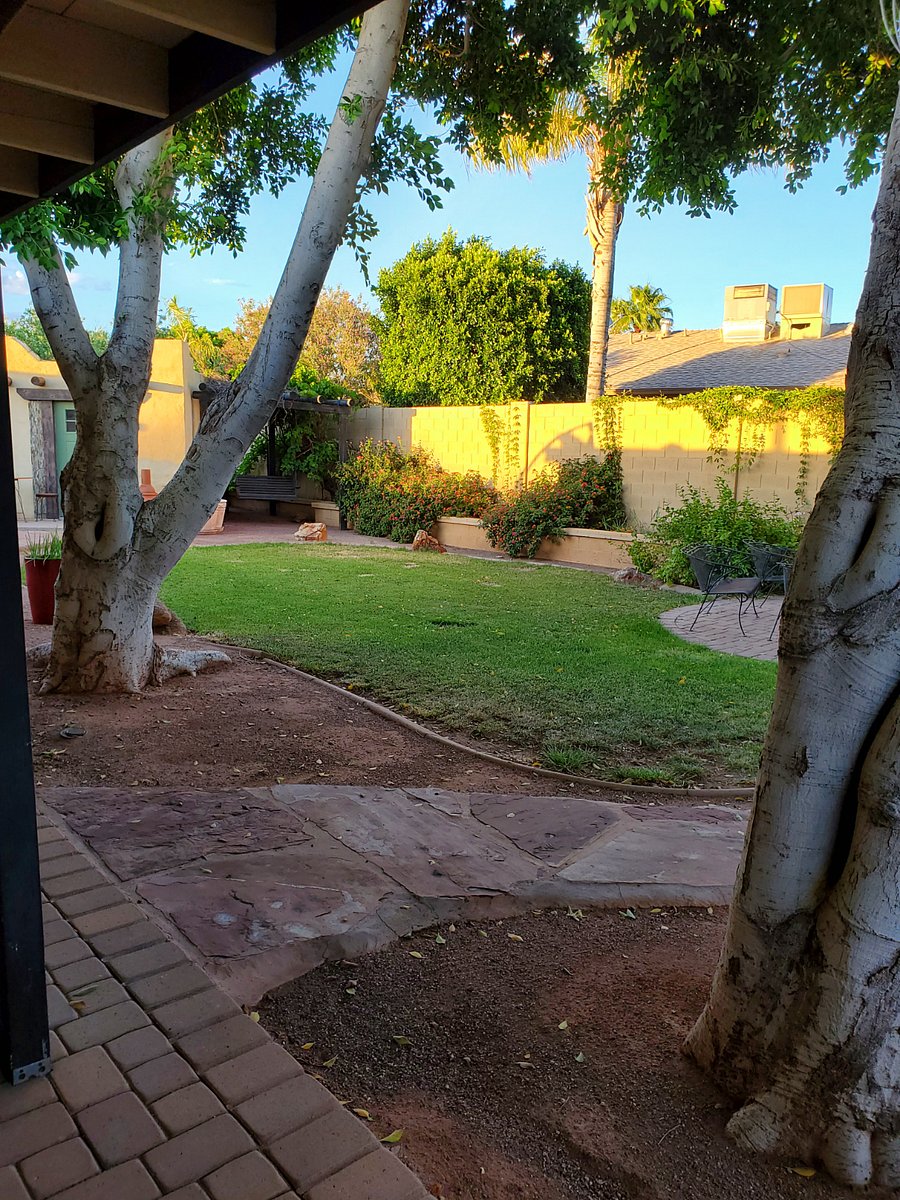 Furnished Finder property 371310_1 photo 17