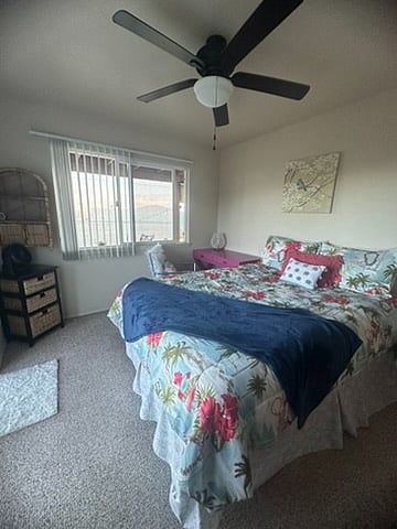 Furnished Finder property 371338_1 photo 27
