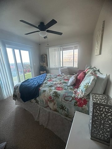 Furnished Finder property 371338_1 photo 29