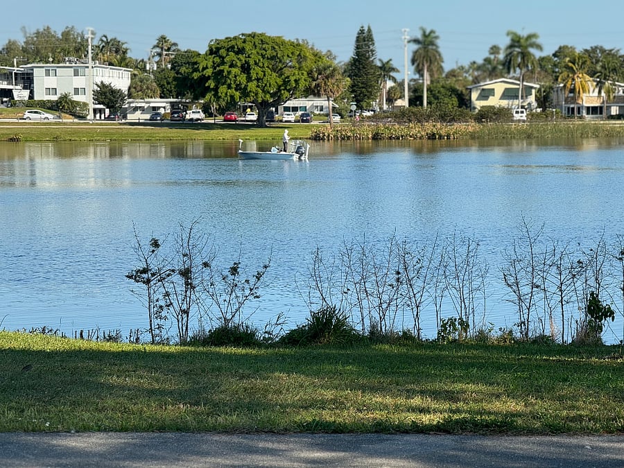 Furnished Finder property 371414_1 photo 15