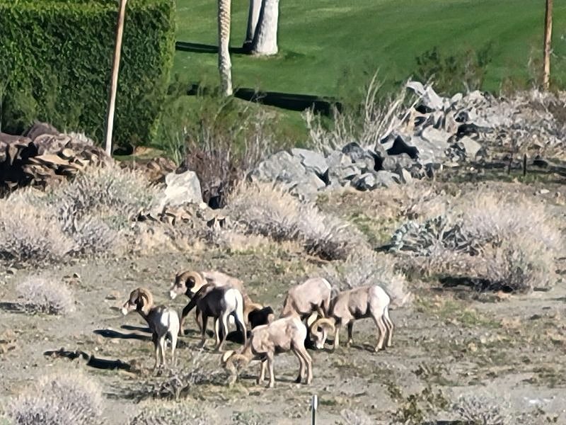 Above the O Donnell golf course.