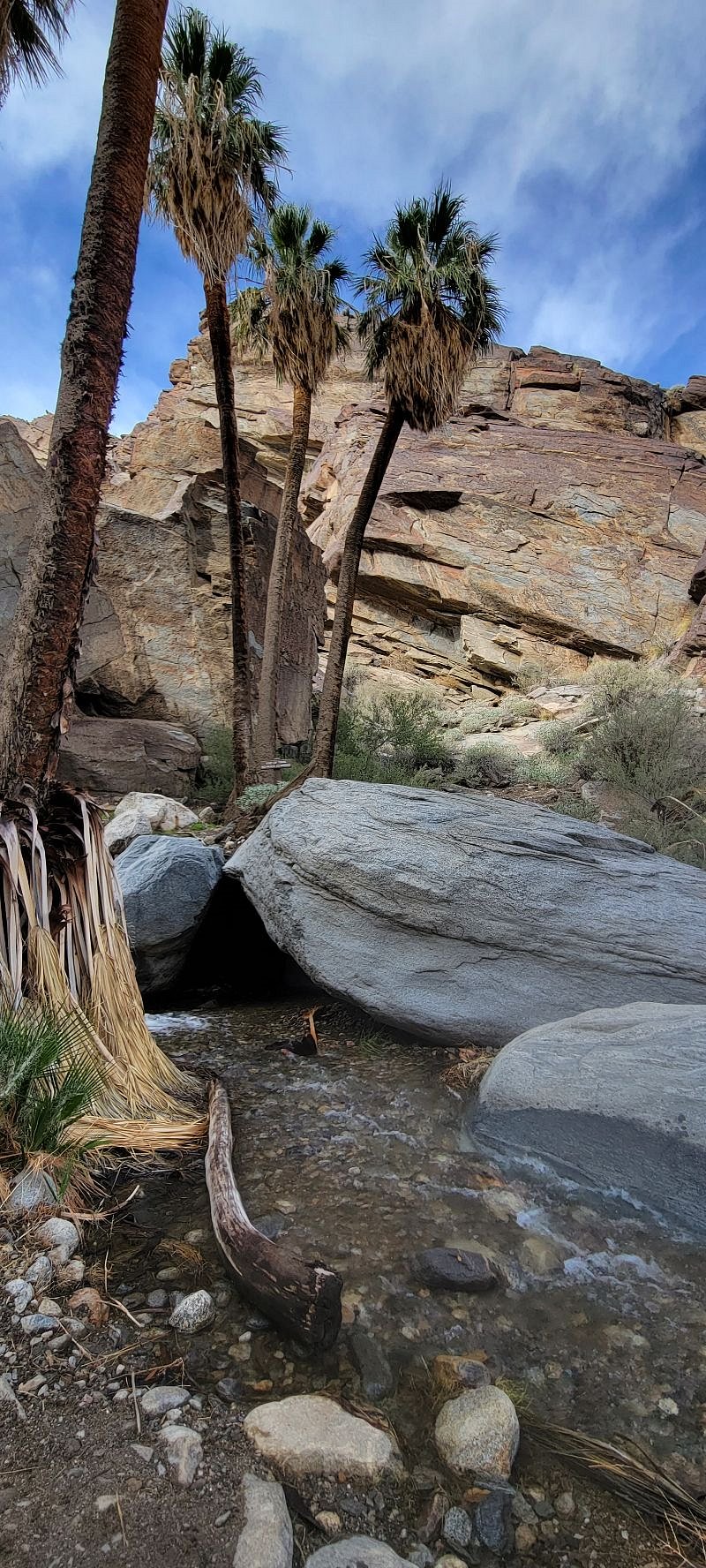 Tahquitz Canyon