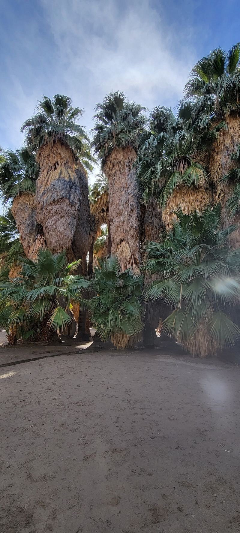 Tahquitz Canyon