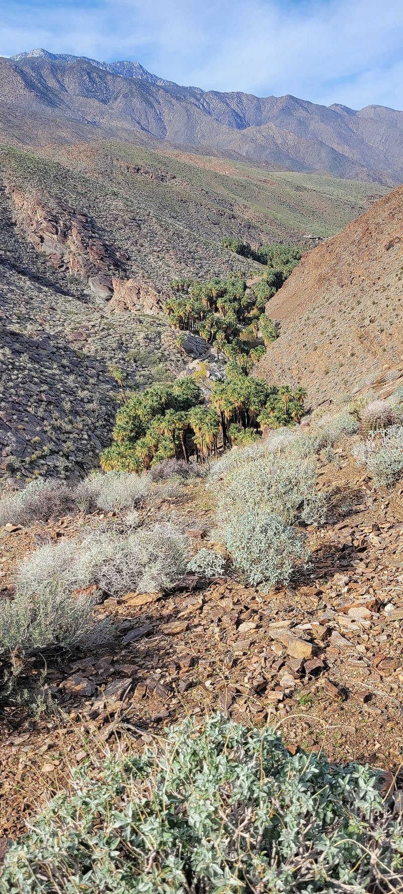 Tahquitz Canyon