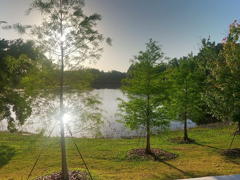 Furnished Finder property 371624_1 photo 33