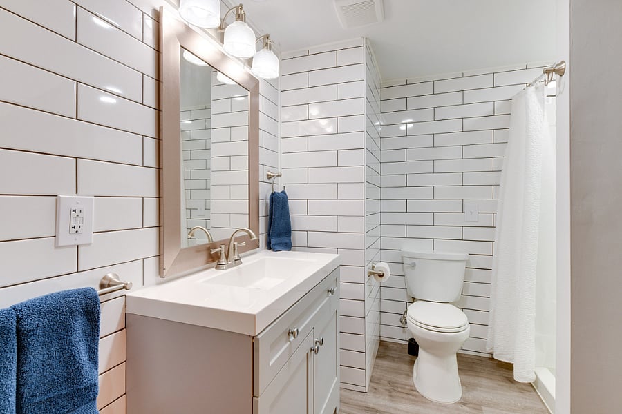 Lower level bathroom