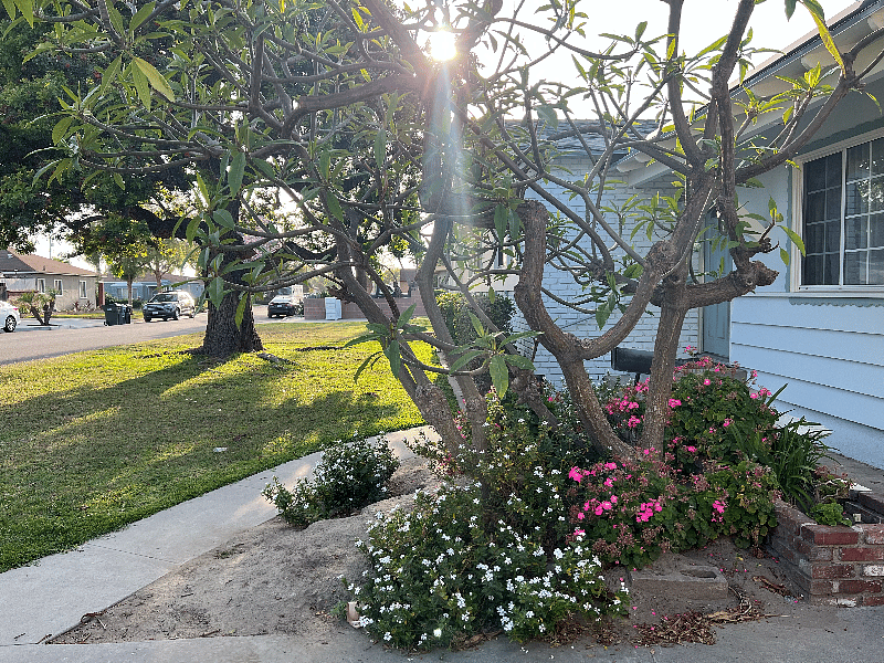 Furnished Finder property 371901_1 photo 4