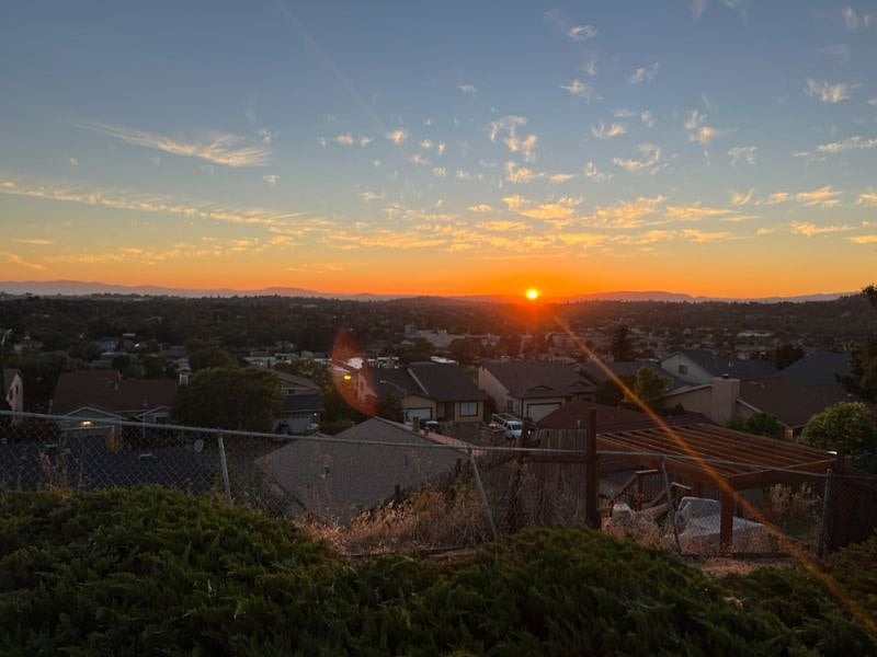 Backyard city view